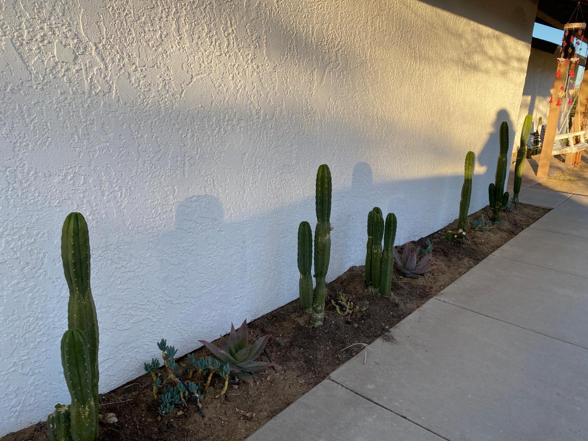 Vila Electroliquid'S Casa Pueblo Joshua Tree Exteriér fotografie